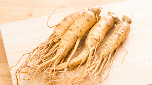 Le ginseng rouge, un ingrédient aux multiples vertus