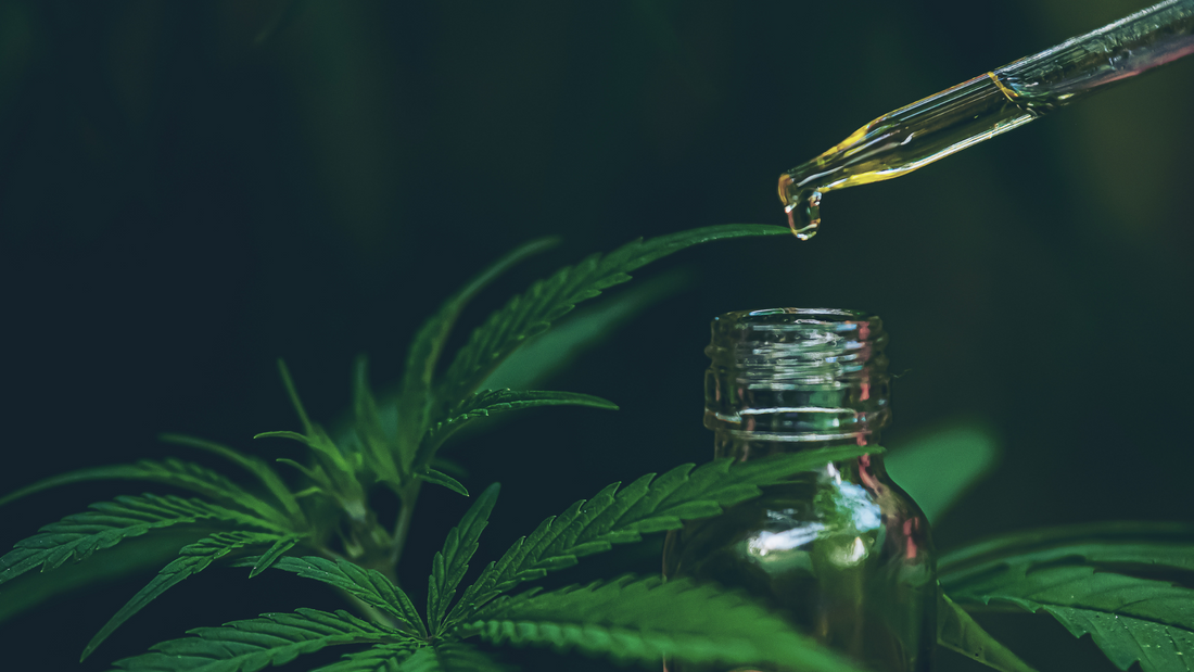 Huile de cbd : quels sont les bienfaits ?